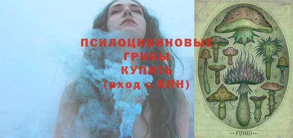 стаф Беломорск