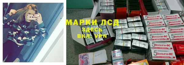 стаф Беломорск