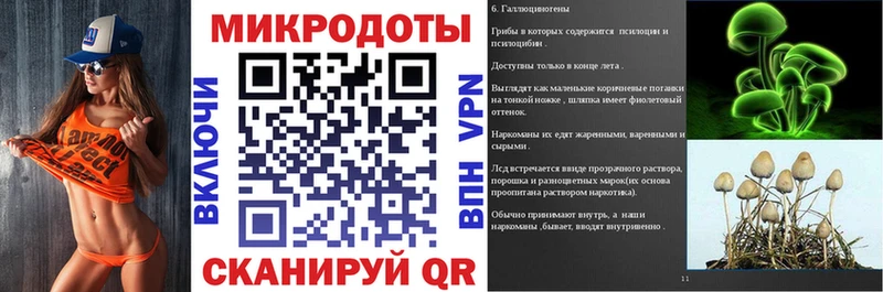 Псилоцибиновые грибы Psilocybine cubensis  Высоцк 