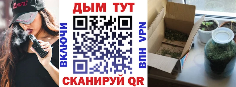 Конопля марихуана  дарк нет телеграм  Высоцк  KRAKEN  
